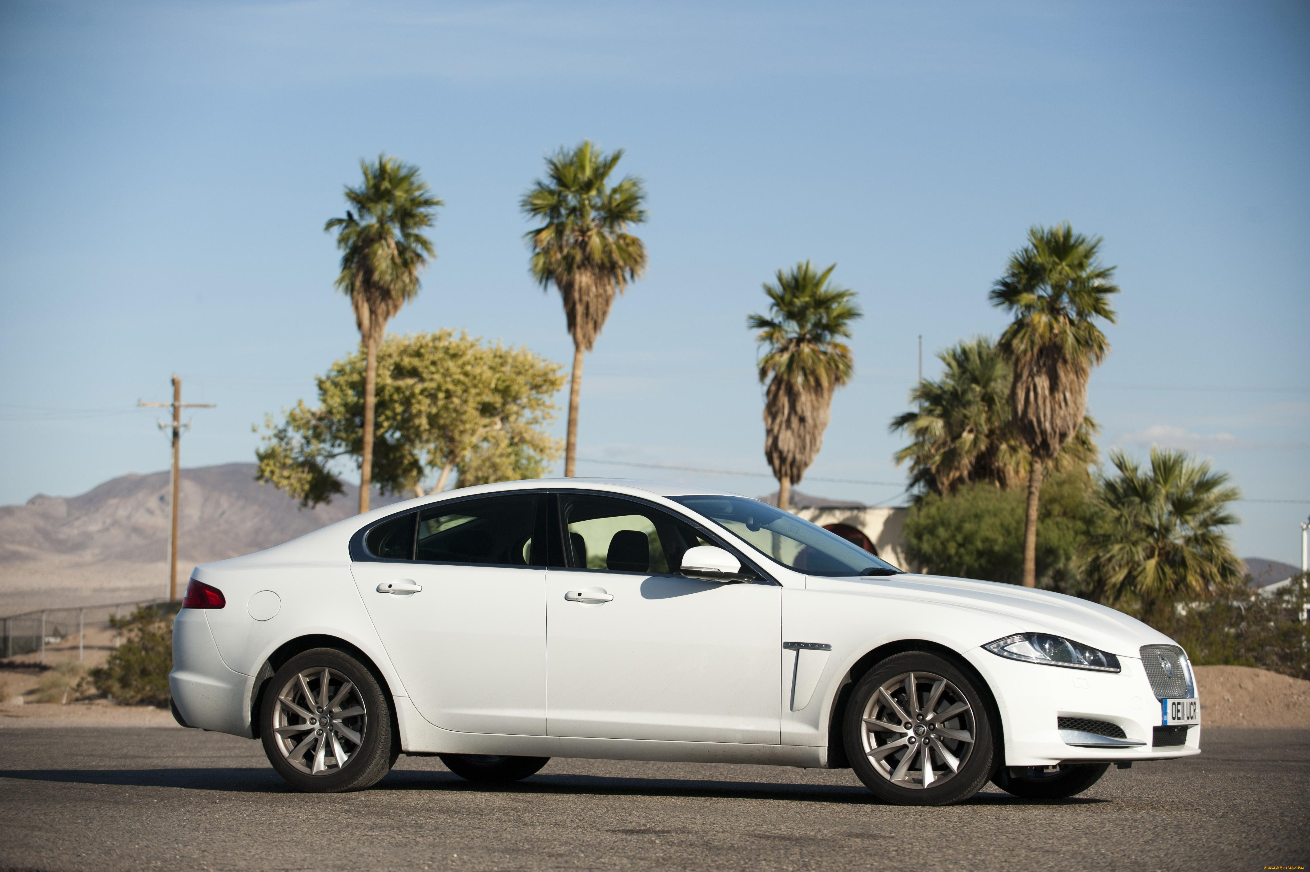 , jaguar